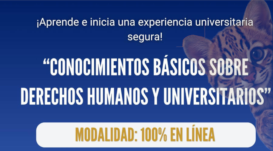 Curso autogestivo “conocimientos básicos sobre derechos humanos y universitarios”