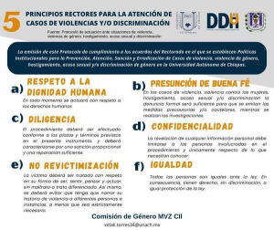 Conoce los principios rectores para la atención de casos de violencias y/o discriminación